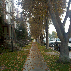 A little Fall weather in San Jose