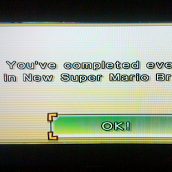 New Super Mario Bros. Wii Completed