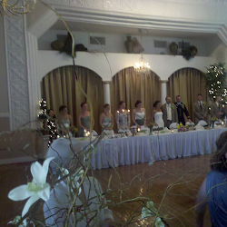 Dr. Gina LaRose's Wedding Party