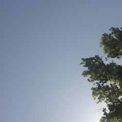 Napping under a tree in Lakewood Park